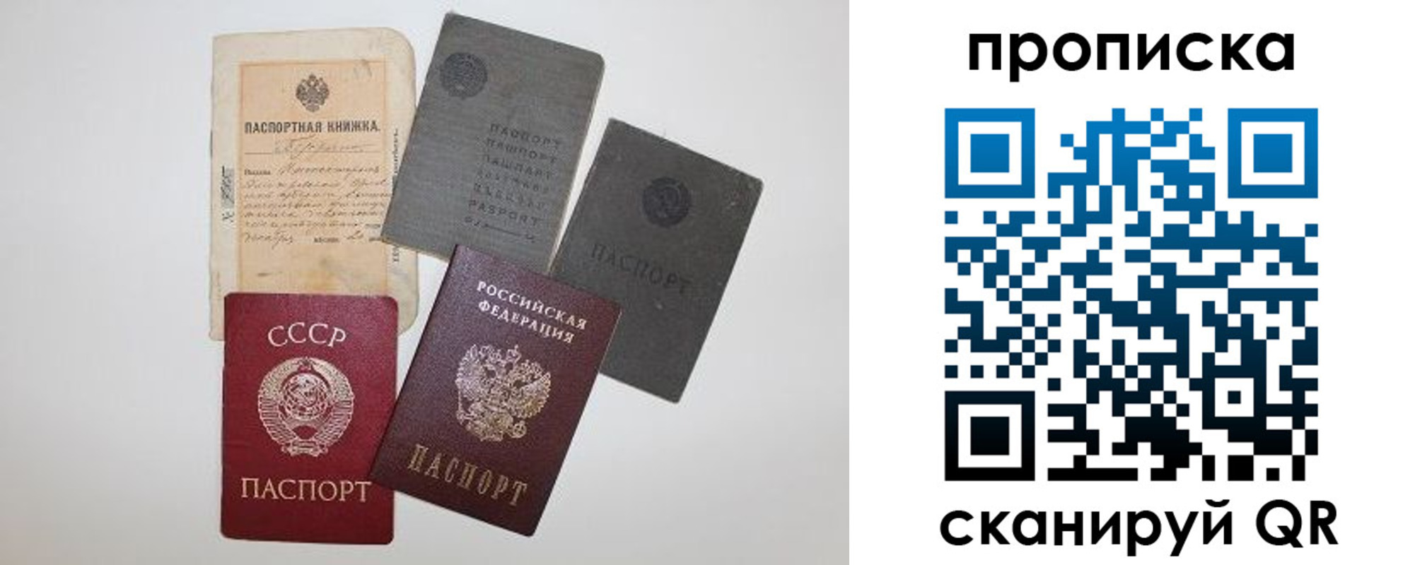 прописка паспорт в Гвардейске